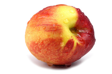 Nectarine