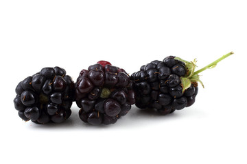 Blackberries