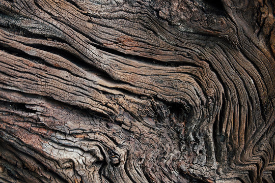 old wood texture,wallpaper