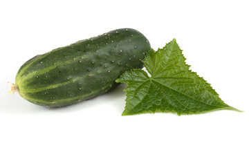 Cucumber and leaf