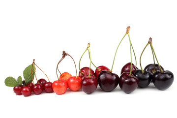 Different cherries