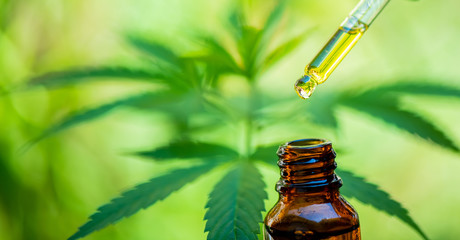 CBD hemp oil, drip, bio-medicine and ecology, hemp plant, herb, medicine, cbd oil cannabis cookies...