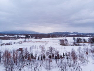 Winter landscape photo of a snow covered fields and cottages with bare trees in foreground and the majestic Mount Yotei in the background