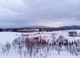 Winter landscape photo of a snow covered fields and cottages with bare trees in foreground and the majestic Mount Yotei in the background