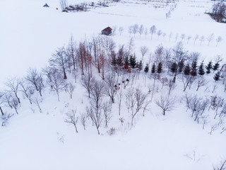 Aerial view of a winter landscape photo consisting of a snow covered fields and cottages with bare trees