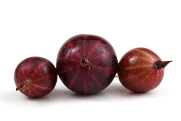 Black-violet gooseberries