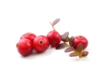 Cranberries and leaves