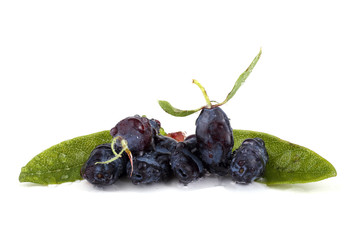Honeyberries and leaves