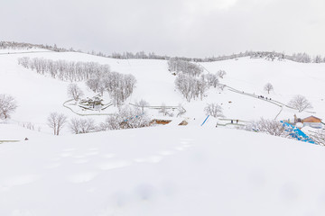 Daegwallyeong  Sheep Ranch in Gangwon Province in winter Snowfall