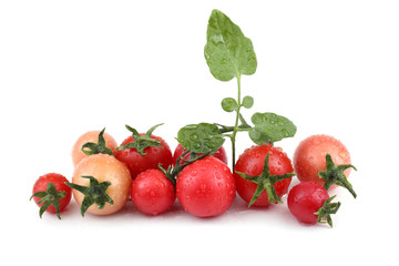 Cherry tomatoes