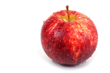 Gala apple