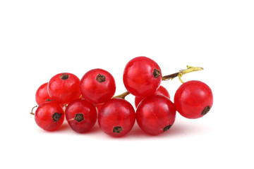 Red currant