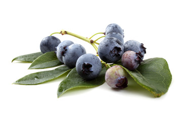 Cluster of blueberries