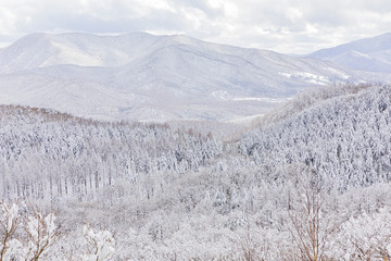 Fototapeta na wymiar Daegwallyeong Seonjaryeong, Gangwon Province Winter Snowfall