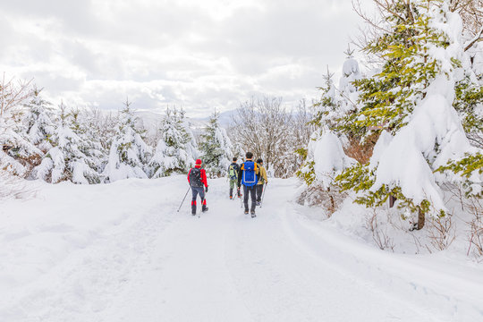 Windforse รูปภาพWindforce – เลือกดูภาพถ่ายสต็อก เวกเตอร์ และวิดีโอ101 | Adobe Stock