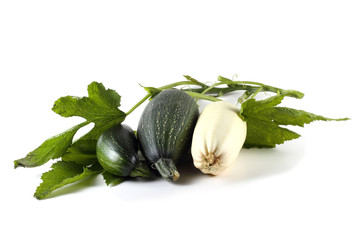 Squashes and leaves