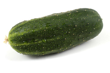 Cucumber