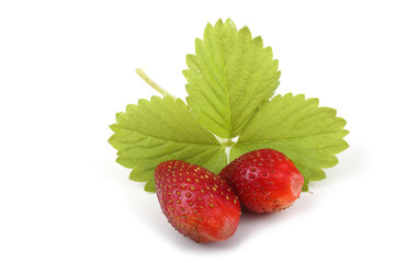 Strawberries and leaf