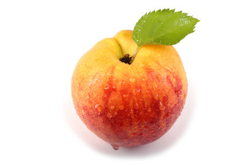 Nectarine with leaf