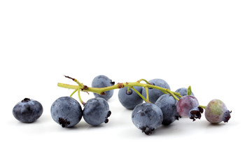 Cluster of blueberries