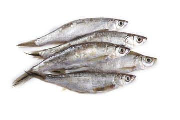 Little herring isolated on white