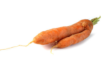 Funny ugly carrot