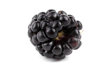 Blackberry isolated on white