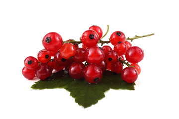 Red currant on leaf