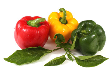 Different color sweet peppers