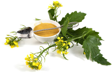 Mustard
