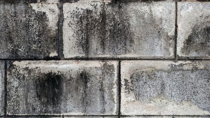 Natural old concrete floor and wall patterns.