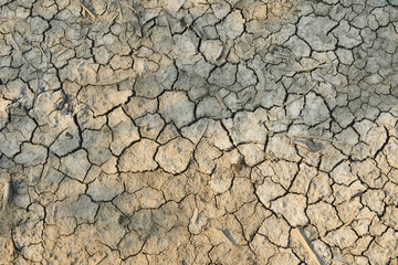 Scorched earth drought landscape dramatic, Global warming concept , Land dry and become cracked dirt  
