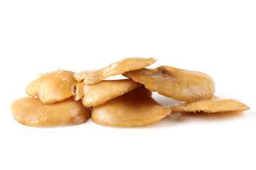 Yellow oyster mushrooms