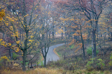 A winding road through the autumn colors on a rainy November day.