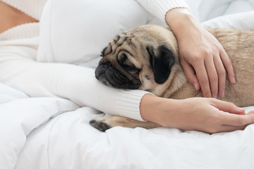 woman hug dog pug breed and sleep in cozy white bedroom relax and comfortable in living room