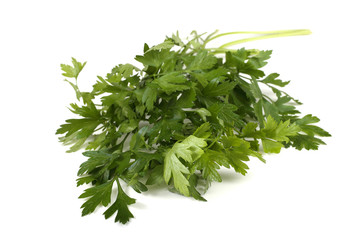 Parsley bunch