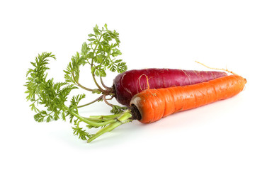 Red and orange carrots with leaves