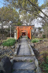 平野神社の鳥居