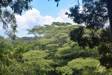Hawaii Pacific Ocean