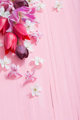 spring flowers on pink wooden background