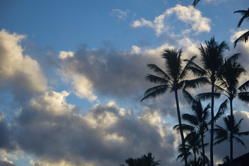 Hawaii Sky