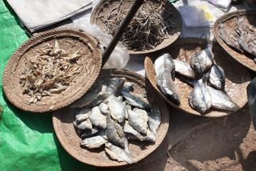 Salty and raw fish on morning market, Yangon, Myanmar
