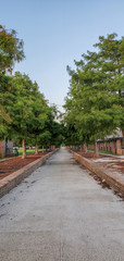 path in park