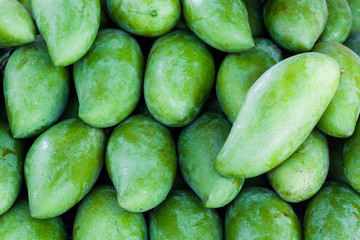 Green Unripe mango (Mangifera indica)