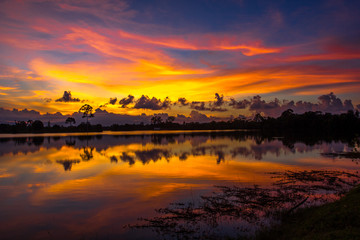 Wallpaper blurred nature of the twilight light in the evening by the large water basin surrounded by big trees, the integrity of the forest