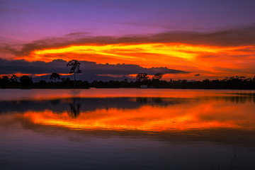 Wallpaper blurred nature of the twilight light in the evening by the large water basin surrounded by big trees, the integrity of the forest