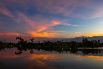 Fototapeta premium Wallpaper blurred nature of the twilight light in the evening by the large water basin surrounded by big trees, the integrity of the forest