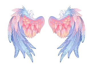 Obraz premium Delicate angel wings