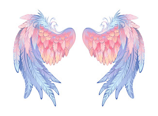 Delicate angel wings