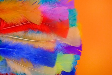 Feathers background.  multicolored feathers on a bright orange background. Feathers mottled texture.